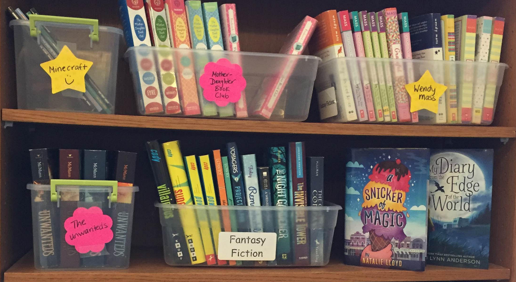 20 Min. Makeover for Classroom Library